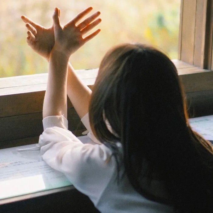 飘零梦